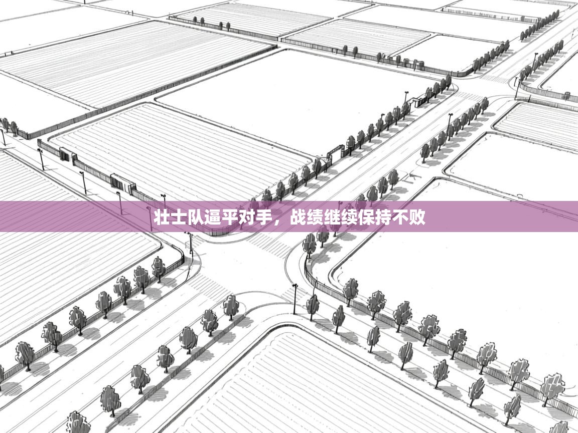 开云体育修改登录密码-壮士队逼平对手,战绩继续保持不败 第2张