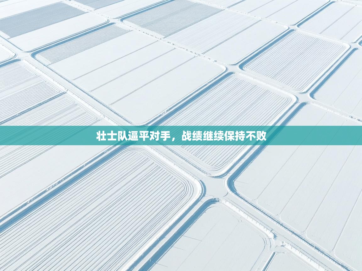 开云体育修改登录密码-壮士队逼平对手,战绩继续保持不败 第4张