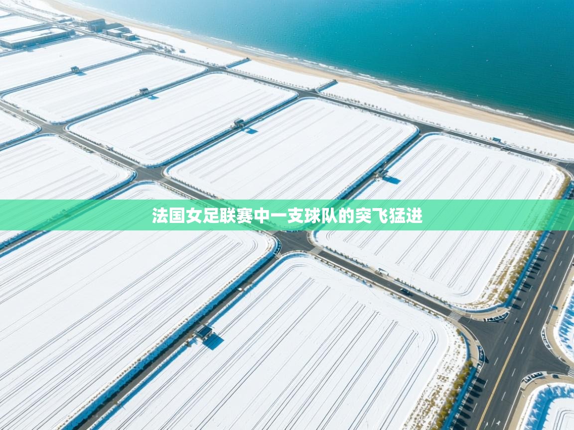 开云体育账号申诉通道-法国女足联赛中一支球队的突飞猛进  第2张