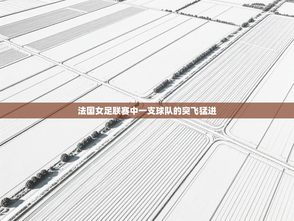 开云体育账号申诉通道-法国女足联赛中一支球队的突飞猛进  第3张