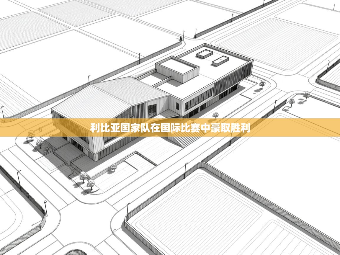 kaiyun sports-利比亚国家队在国际比赛中豪取胜利 第2张