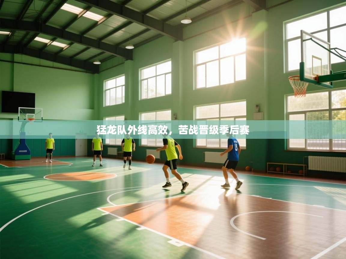 开云体育入口下载-猛龙队外线高效，苦战晋级季后赛  第1张