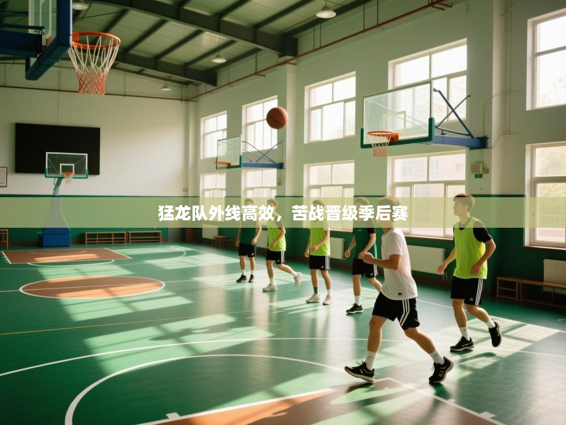 开云体育入口下载-猛龙队外线高效，苦战晋级季后赛  第3张