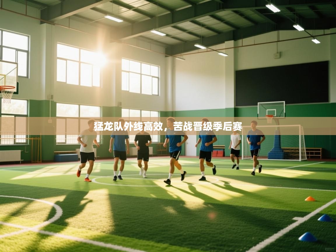 开云体育入口下载-猛龙队外线高效，苦战晋级季后赛  第4张