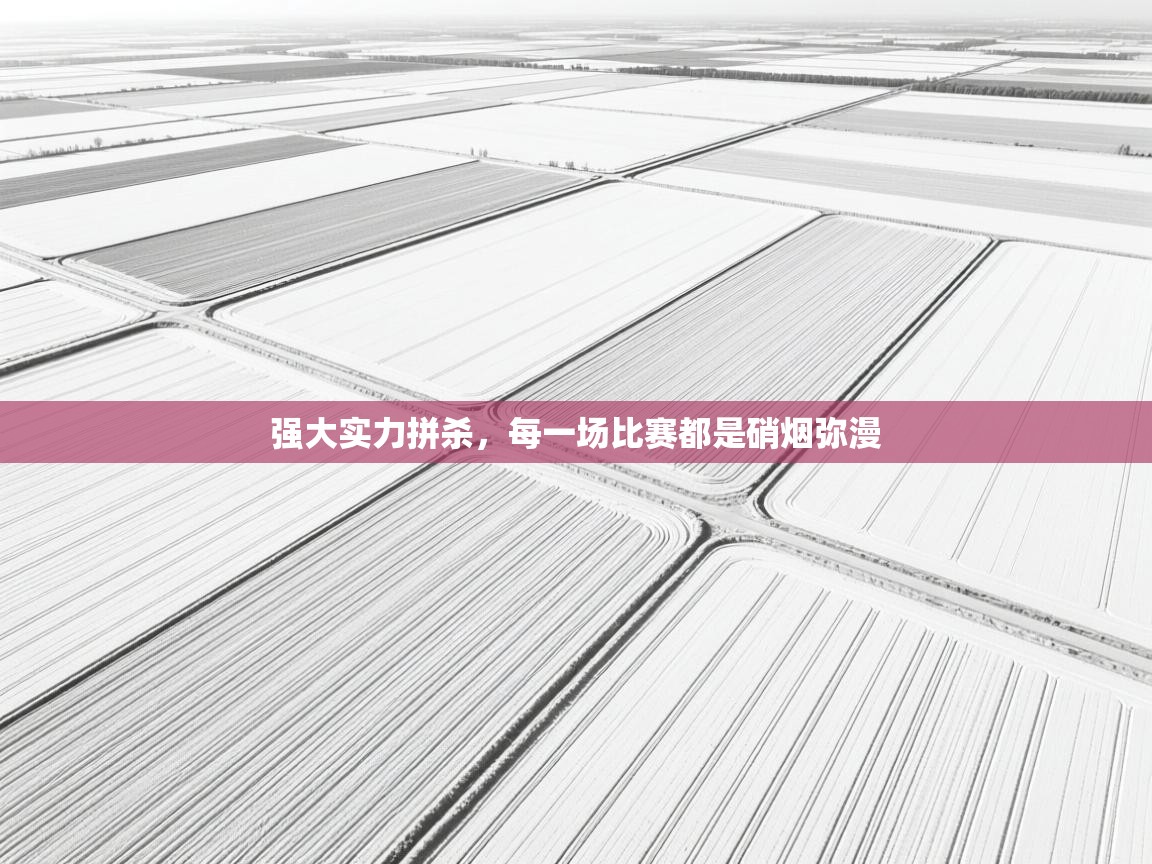 强大实力拼杀,每一场比赛都是硝烟弥漫 强大实力拼杀,每一场比赛都是硝烟弥漫