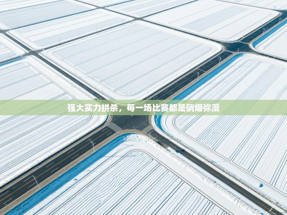 强大实力拼杀,每一场比赛都是硝烟弥漫 强大实力拼杀,每一场比赛都是硝烟弥漫