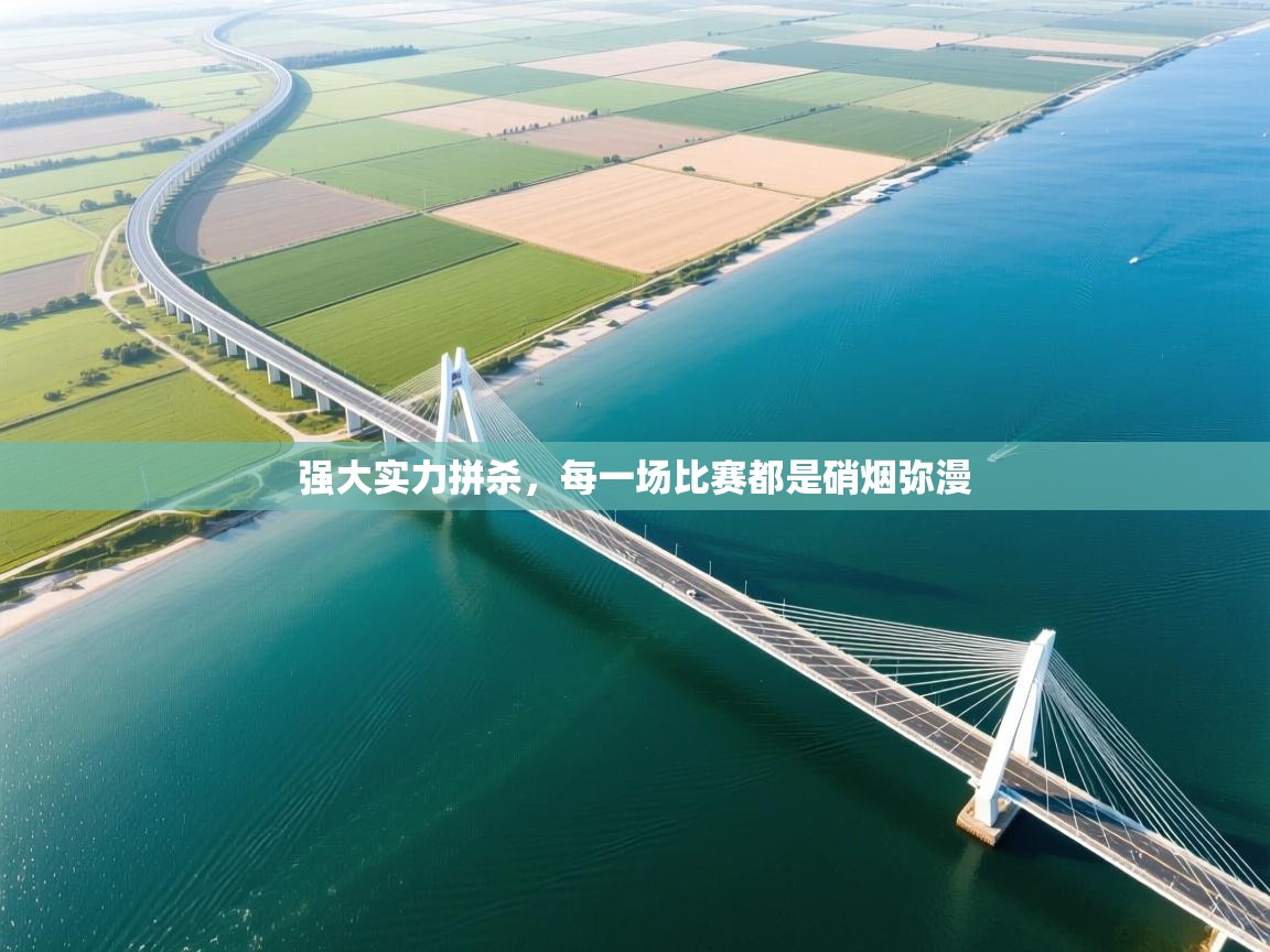 强大实力拼杀,每一场比赛都是硝烟弥漫 强大实力拼杀,每一场比赛都是硝烟弥漫