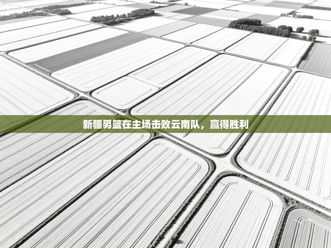 新疆男篮在主场击败云南队，赢得胜利