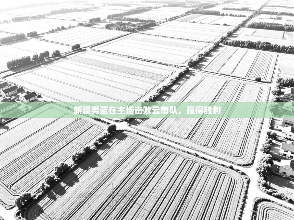 新疆男篮在主场击败云南队，赢得胜利