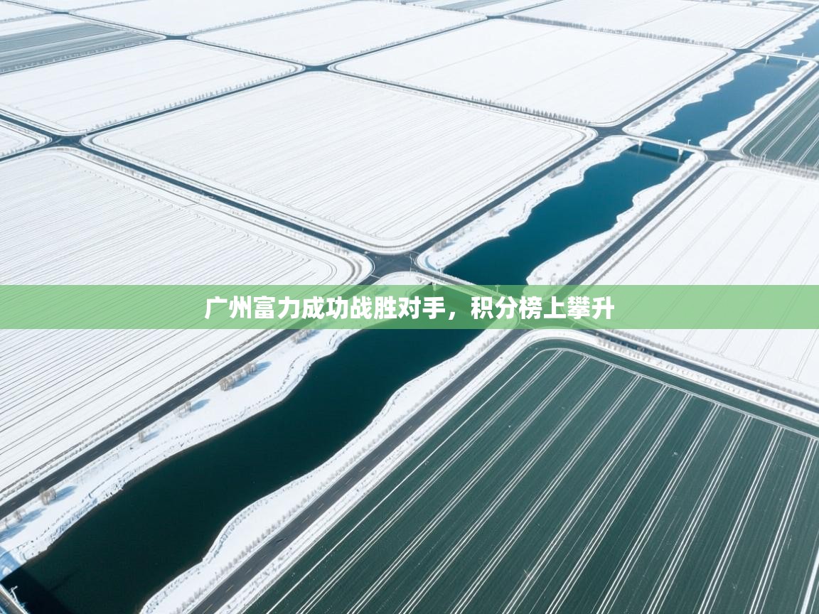 广州富力成功战胜对手，积分榜上攀升