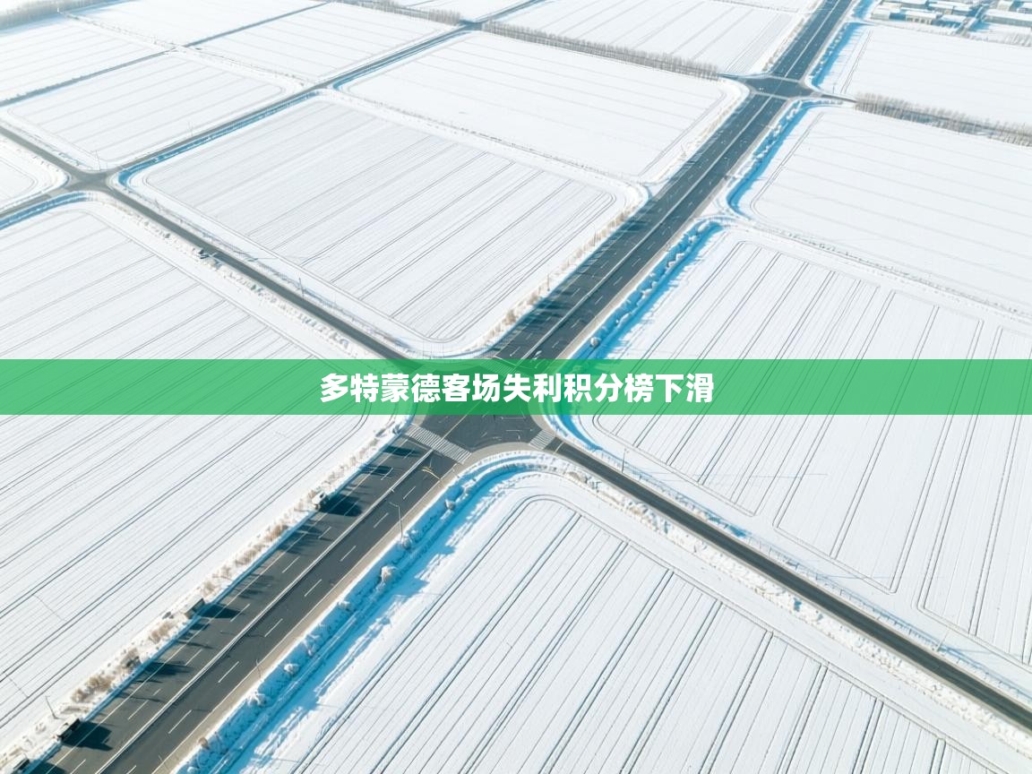 开云体育无法登录解决方案-多特蒙德客场失利积分榜下滑  第2张