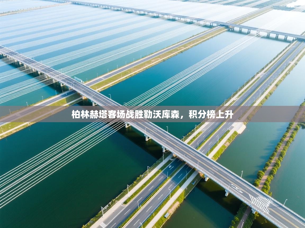 柏林赫塔客场战胜勒沃库森，积分榜上升