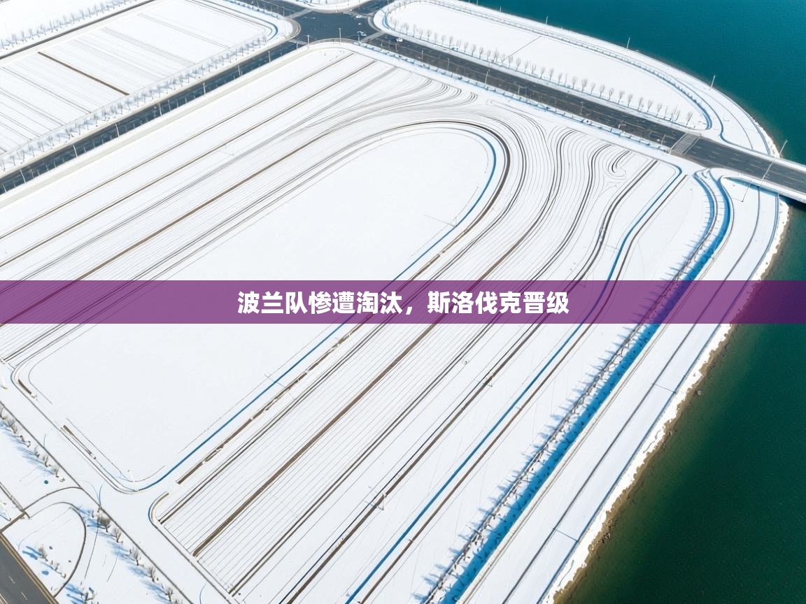 波兰队惨遭淘汰，斯洛伐克晋级