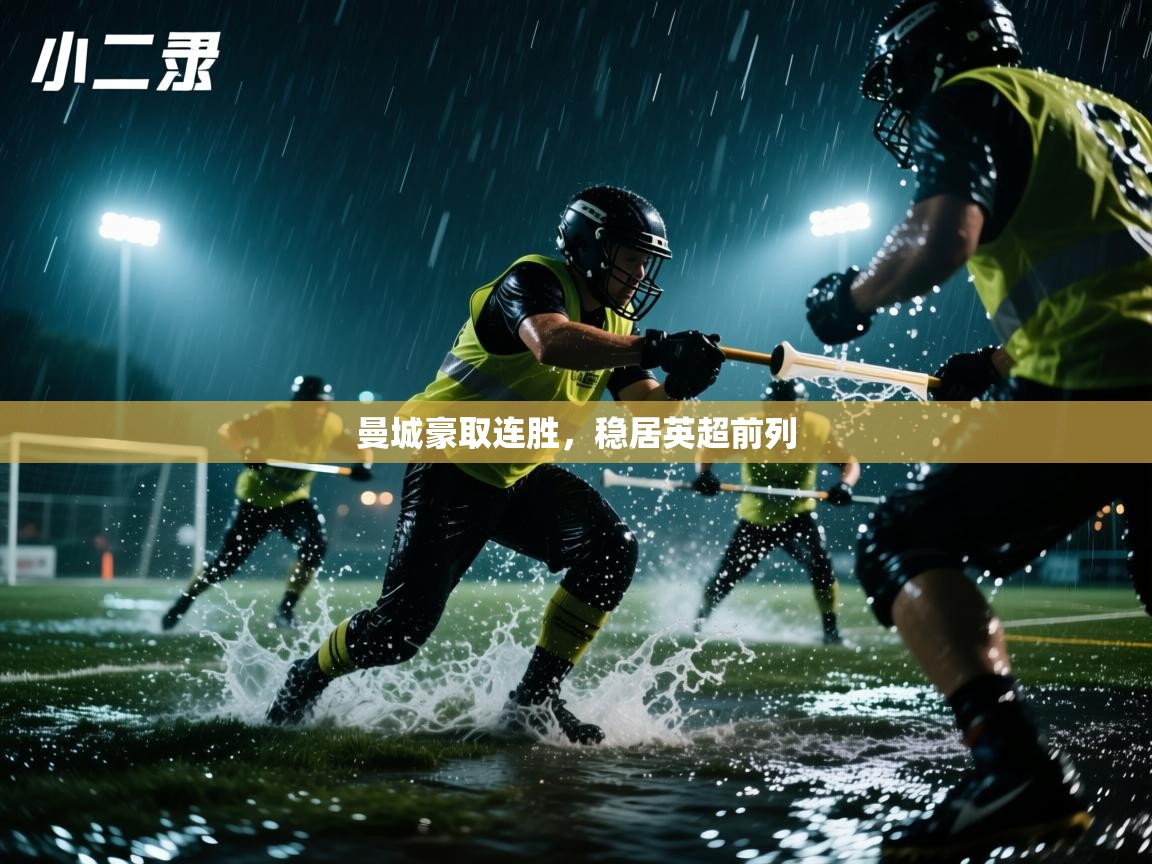 开云体育app官网下载地址-曼城豪取连胜，稳居英超前列  第1张